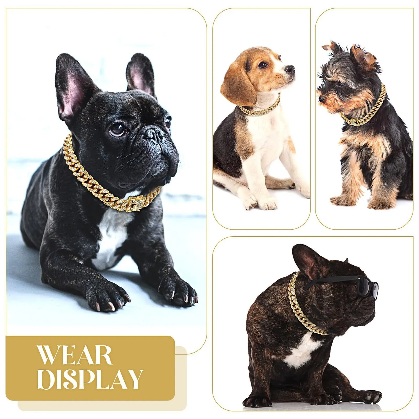 Coleira de luxo para cães com corrente cubana – Metal banhado a ouro